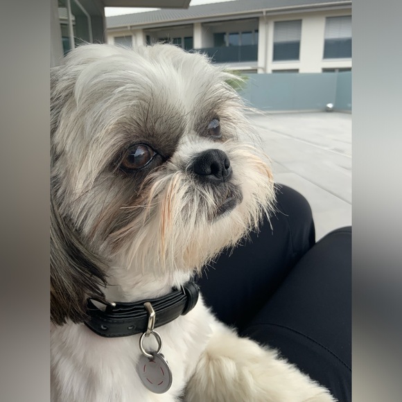 Meet your Posher, Angela - Picture 1 of 1